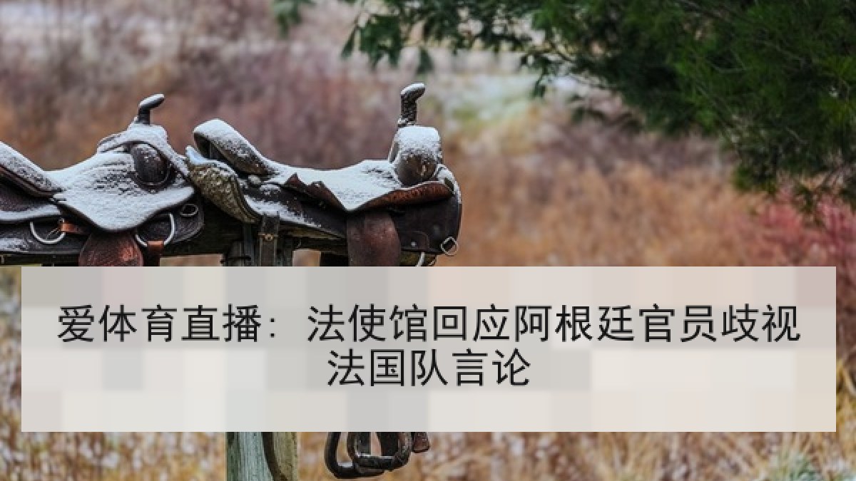 爱体育直播: 法使馆回应阿根廷官员歧视法国队言论
